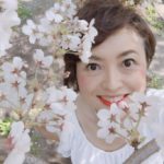 東京桜開花！なぜ今が一番スムージーが効果があるのか？
